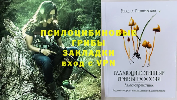 дурь Аркадак